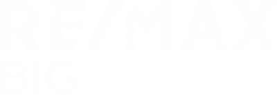 Logo remax big 3